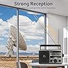 AM FM Portable Radio Battery Operated by 4X D Cell Batteries Or AC Power Transistor Radio with and Big Speaker, Standard Earphone Jack, High/Low Tone Mode, Large Knob
