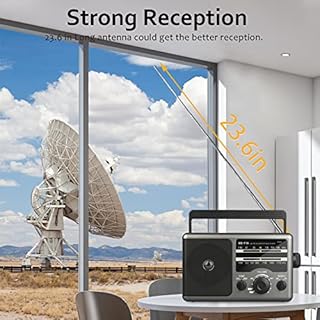 AM FM Portable Radio Battery Operated by 4X D Cell Batteries Or AC Power Transistor Radio with and Big Speaker, Standard Earphone Jack, High/Low Tone Mode, Large Knob