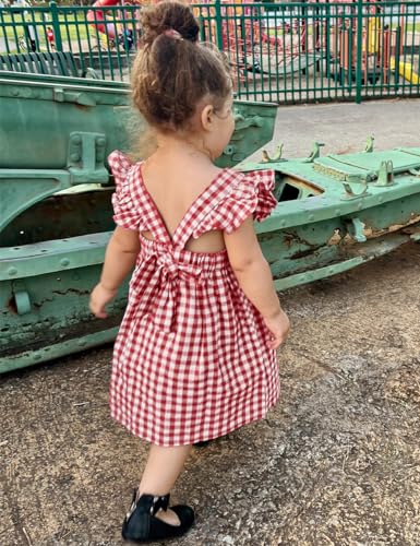 AGQT Baby Girls Plaid Dress Flutter Sleeve Gingham Spring Summer Dresses Size 6M-8T4