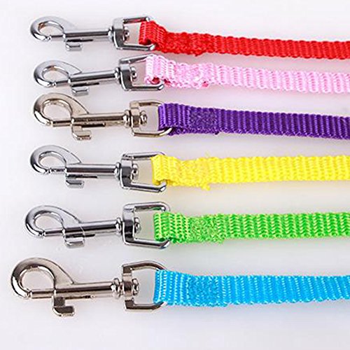 Verlike - Guinzaglio Lungo per Cani, con Ala