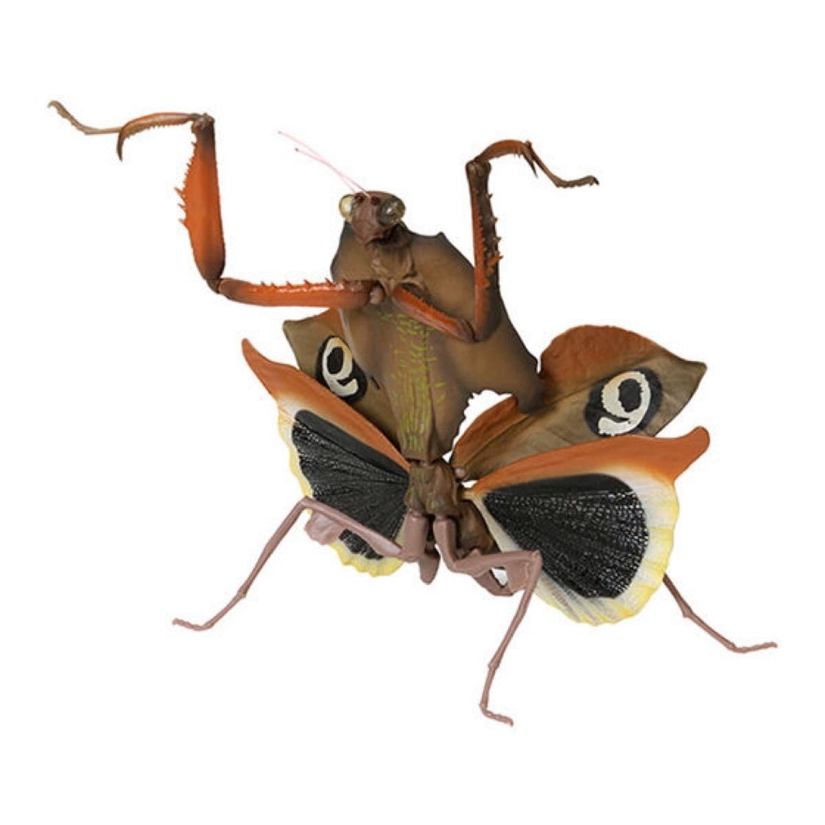 Amazon | いきもの大図鑑 メダマカレハカマキリ ガチャ ガシャ