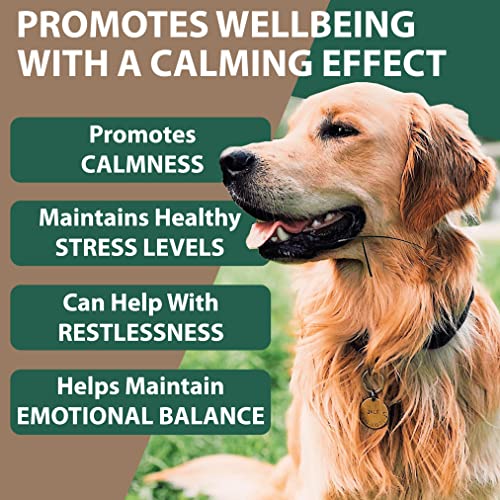 Petastical-Hemp-Oil-for-Dogs-Chews-Dog-Calming-Aid-Tablets-for-Anxiety-Relief-Veterinarian-Formulated-60-Soft-Chews