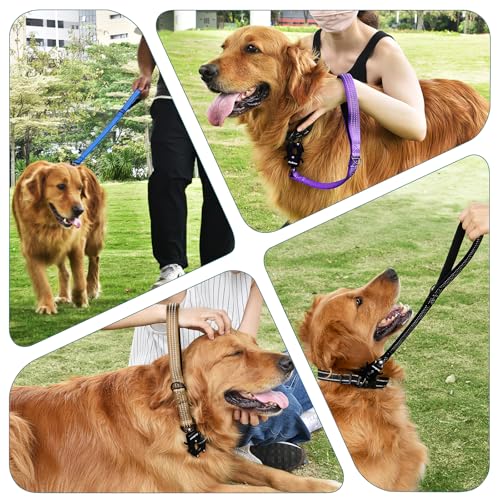 PetBonus Robuste Kurze Hundeleine 30cm, Nylon Kurzführer mit Schnellverschluss, gepolstertem Griff, Reflektierende Trainingsleine für große mittlere Hunde (Schwarz)