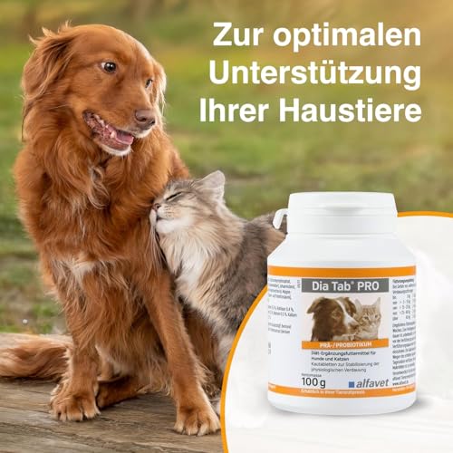 alfavet Dia Tab PRO 100 g – Diät-Ergänzungsfuttermittel für Hunde & Katzen – Prä- & Probiotika zur Stabilisierung der Verdauung – Leckere Kautabletten mit Bentonit zur Unterstützung der Darmflora