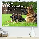 PERFEKTES GESCHENK - Unsere Premium-Kalender sind als besonderes Geschenk für den Freund, die Freundin, den Mann, die Frau, Ehemann und Ehefrau, für den Jahrestag, Geburtstag, den Hochzeitstag, zur Verlobung, zum Einzug, für Kinder und Erwachsene, für frisch Verliebte oder ein altes Ehepaar, für Oma und Opa, für Papa und Mama, den Geschäftspartner, für jung und alt geeignet.
