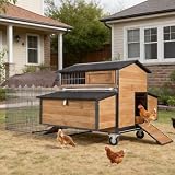 GUTINNEEN Large Coop with Run