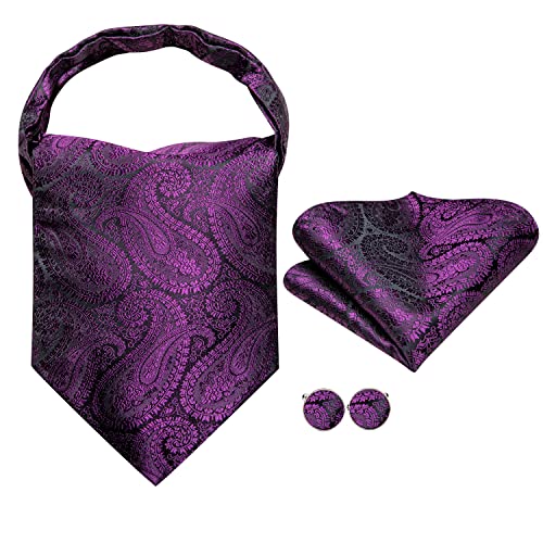 Image of Hi-Tie Ascot Lapel Pin Set Mens Cravat Ties for men Wedding Scarf Tie Party Business Formal Tuxedo,Plum Purple Paisley