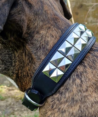 Hundehalsband Titan Lederhalsband Leder Schwarz Nieten Hohe Zugkraft Extra Breit Halsband Hund (L)