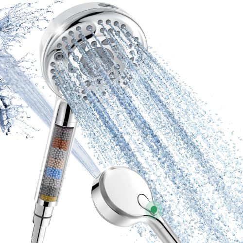 SunCleanse Filtered Shower Head with Handheld 9 Sprays