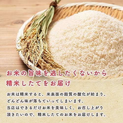 Amazon.co.jp: 令和7年産秋田県産あきたこまち精米150g（1合用
