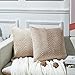 JULIYEH 2er Set Samt Kissenbezüge Kissenhülle Dekokissen Dekorative Kissenbezug Sofakissen Zierkissen Sitzkissen Samtkissen mit Prägemuster für Sofa Wohnzimmer Schlafzimmer 45x45 cm Taupe