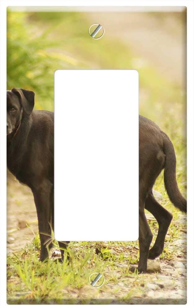 Placas de Interruptores