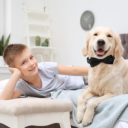 KTWSUEF Hundehalsband Samtiges, mit Abnehmbarer Hunde Fliege, Komfortable Verstellbares Samtige Halsband Hund, Geeignet für Hunde Kleine Mittel große Hunde, Für Hochzeiten, Geburtstage, Partys usw