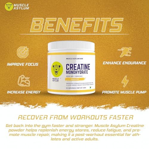 Image of Muscle Asylum Pure Creatine Monohydrate | 250g, 62 Servings | Pineapple | With Genuine Lab Reports | Enhanced Muscle Strength & Power | Fast Recovery | Increased Muscle Mass