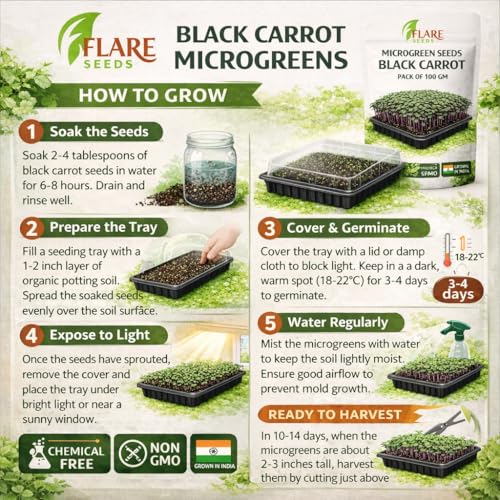 Image of Black Carrot Microgreen Seeds, Chemical-Free, Non-GMO, 100g Pack with Free Coco Disk, Rich in Antioxidants and Vitamins for Indoor Growing