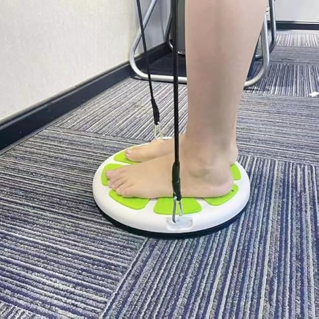 Ab Twist Waist Disc Board,Adjustable Waist Trainer Twisting Disc with Handles,Waist Slimming Balance Rotating Disc with Massage Foot Sole for Slimming Waist Arms Hips and Thighs