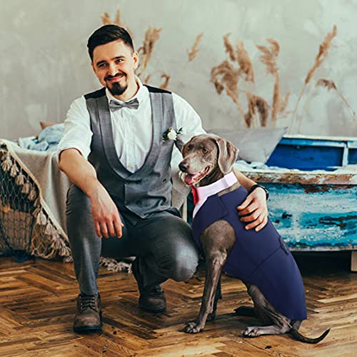 Dora Bridal Smoking formal para cães médios e grandes, roupa de festa de casamento Labrador Pet com