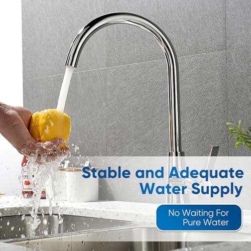 Filtre à eau sous évier haute capacité 70 000 litres pour toute la maison - 6