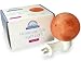 Dream Salts Himalayan Salt Nursery Night Light / Crystal Rock Decor / Natural Air Purifier (Sphere)