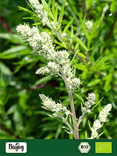 Biojoy BIO-Beifuß Tee (250 g), getrocknet und geschnitten, Beifusskraut (Artemisia vulgaris)
