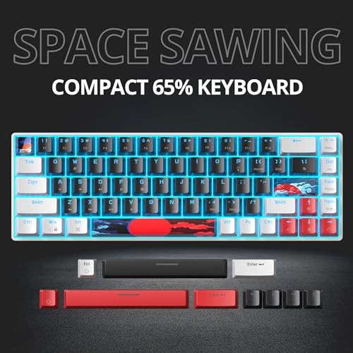 Image of Protable 60% Percent Gaming Keyboard Mechanical, Mini Compact Ice-Blue LED Backlit 68 Keys Wired Office Keyboard with Red Switch for Mac /Win /PS4 /PS5(68Black /red Switch)