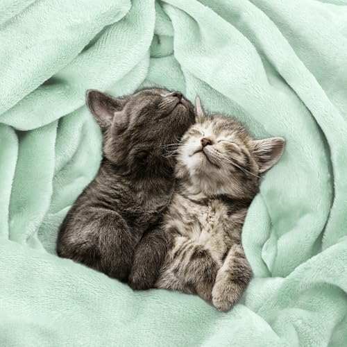 Image of Utopia Bedding Fleece Blanket Twin Size Mint Green (60x80 Inches) Ultra Soft Warm Lightweight Microfiber Breathable Anti-Static Cozy Bed Blanket, All-Season Home Decor Gift for Men & Women