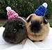 Crochet Winter Hats for Guinea Pigs, Bunnies, Gerbils, Hamsters, Chinchillas, and Other Small Pets (Blushing Pink)