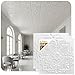 A la Maison Ceilings r14-8pw Victorian Ceiling Tile, Plain White