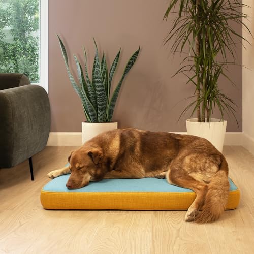 Maxtin Cama Perro Cama Hidrofuga Perro Mediano 75x50x7 cm Cama Perro Viscoelástica y Ortodpedica - Lavable, Hidrofuga y Desenfundable, Ideal para Perros Medianos y Cama para Gatos