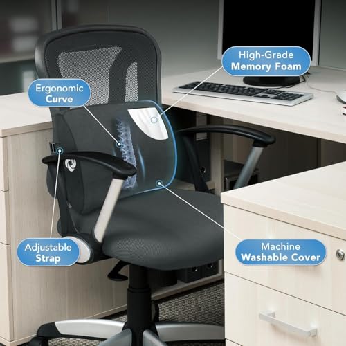 Image of Samsonite Lumbar Support Pillow for Office Chair and Car Seat, Perfectly Balanced Memory Foam, Versatile Use Lower Back Cushion, Black Plush