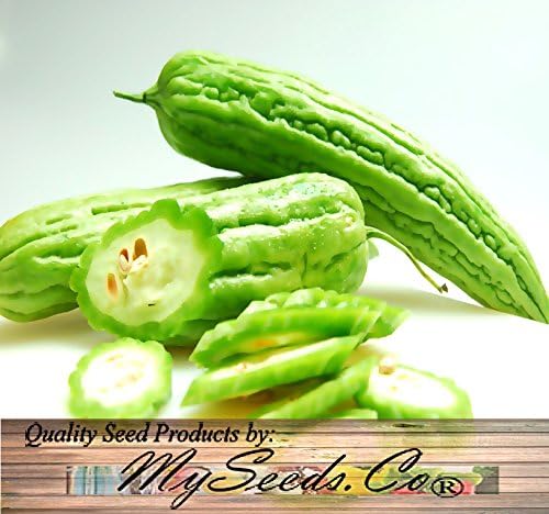 Big Pack - (100) Bitter Melon Seeds - Mara Long Variety - (OP) - Momordica charantia - Non-GMO Seeds (Big Pack - Bitter Melon)
