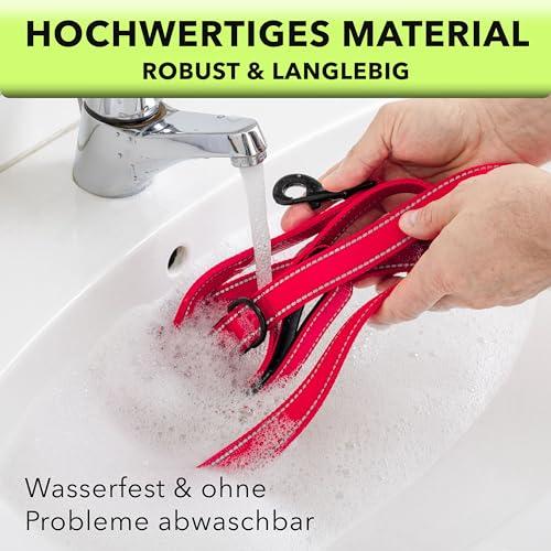 AVANA Hundeleine mit integriertem Kurzführer reflektierende Leine | 2 handschonende gepolsterte Handschlaufen | 1,5 Meter Führleine für große und mittelgroße Hunde - Rot