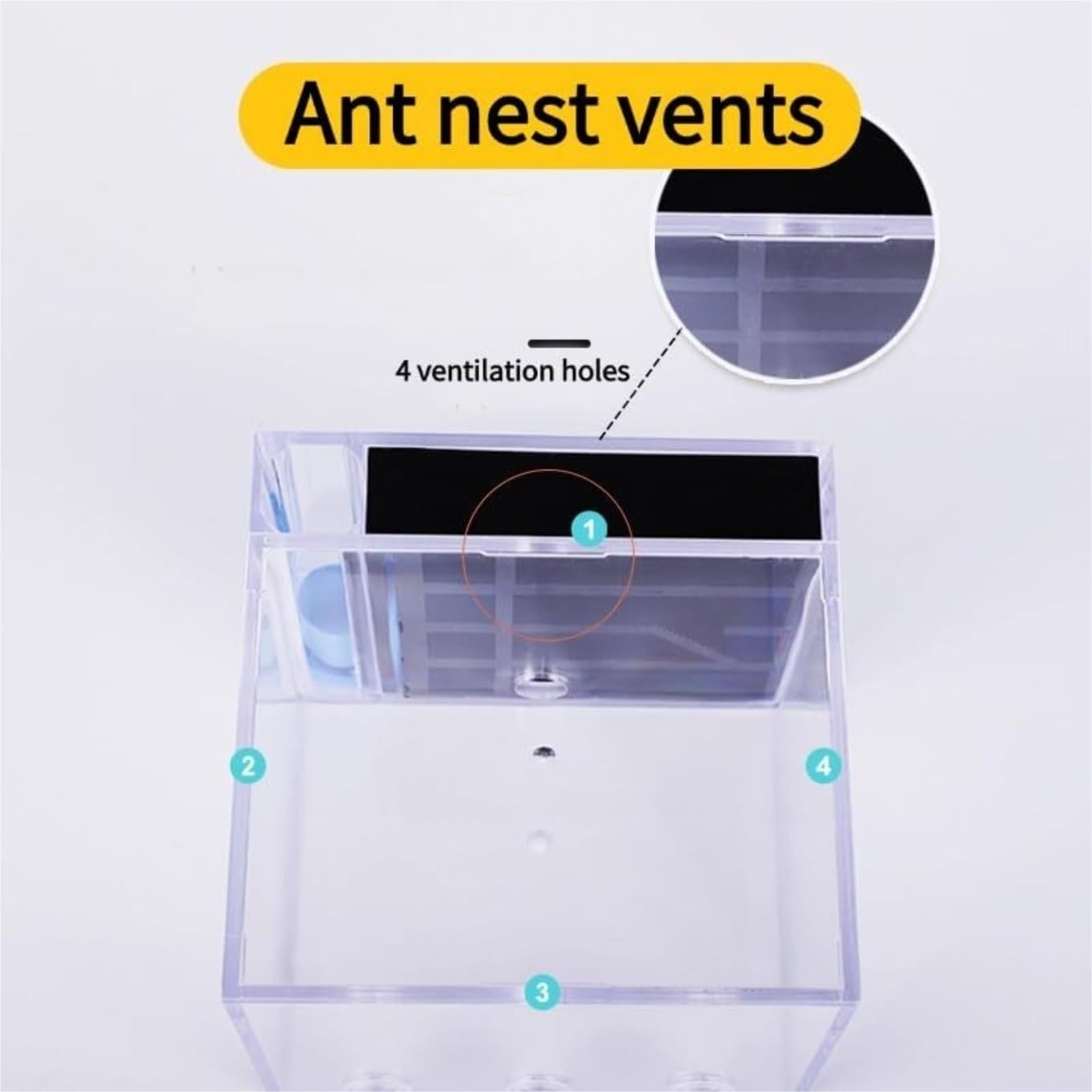 Ant Farm Ant House Farm Acrylic Transparent Observation Behavior Study Ants and Queen Education Nest Habitat