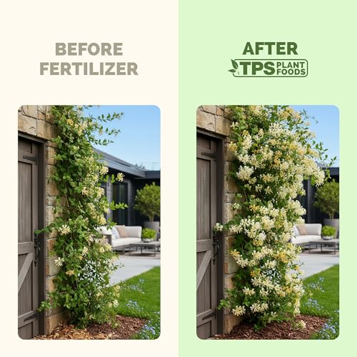 Fertilizante Líquido Honeysuckle 32 oz para Plantas miniatura 3