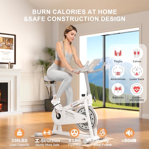 Magnetic Resistance Indoor Cycling Bike