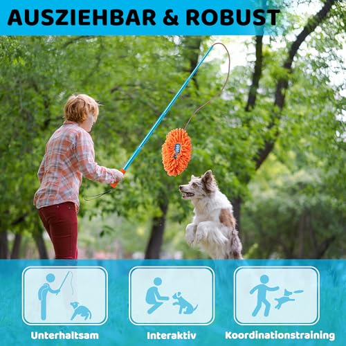 Ausziehbare Flirt Pole Reizangel für Hunde mit 2 Knoten & Robustem Seil, Baseball Stil Verstellbarer Flirtstock für Haustier Interaktives Jagdtraining Bewegungsspiel Indoor Outdoor Hundespielzeug