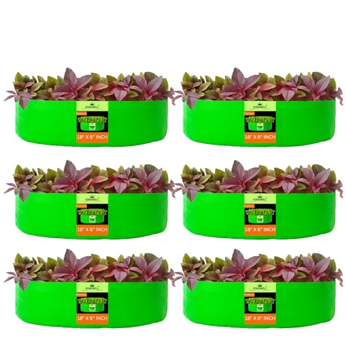 Image of Kingwell grow bags 18x6 inches pack of 6 Grow Bag For Terrace Garden Leafy Vegetable Plant Grow Bags Fruits Growing Containers For terrace Gardening