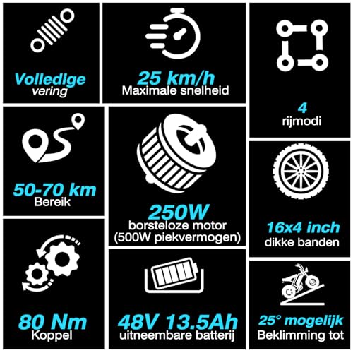 Bodywel M16 E-bike voor dames en heren, 16 x 4,0 inch All Terrain E Fatbike City & Mountain, 48 V 13 Ah acu, 250 W motor, bereik 80 km (PAS), LCD-display, dubbele verlichting, volledige vering - Afbeelding 3