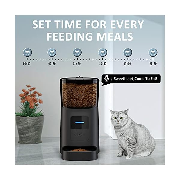 Arespark Automatic Cat Feeder,6L APP Enabled Wi-Fi Cat Food Dispenser, Automatic Dog Feeder with Manual & Timer Feeding/Voice Recorder/1-15 Meals per Day, Smart Pet Feeder for Small & Medium Pet Arespark Automatic Cat Feeder,6L APP Enabled Wi-Fi Cat Food Dispenser, Automatic Dog Feeder with Manual & Timer Feeding/Voice Recorder/1-15 Meals per Day, Smart Pet Feeder for Small & Medium Pet