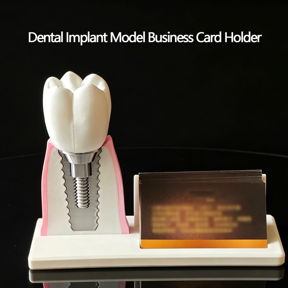 Soporte para Tarjetas de presentación Dental de Resina, Modelo Dental y Modelo de implante Dental, Soporte para Tarjetas de presentación, Adorno de Modelo de conducto radicular
