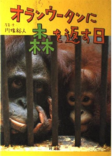 オランウータンに森を返す日 (旺文社ジュニア・ノンフィクション)