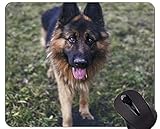 3. Proporciona un excelente seguimiento del mouse para una pelota o un mouse óptico;