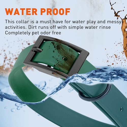 Image of Dogline Biothane Waterproof Dog Collar Strong Coated Nylon Webbing with Black Hardware Odor- Proof for Easy Care Easy to Clean High Performance Fits Small Medium or Large Dogs, Hunter Green