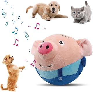 2026 Interactive Moving Pig Dog Ball Toy (Rechargeable, Squeaky & Singing)