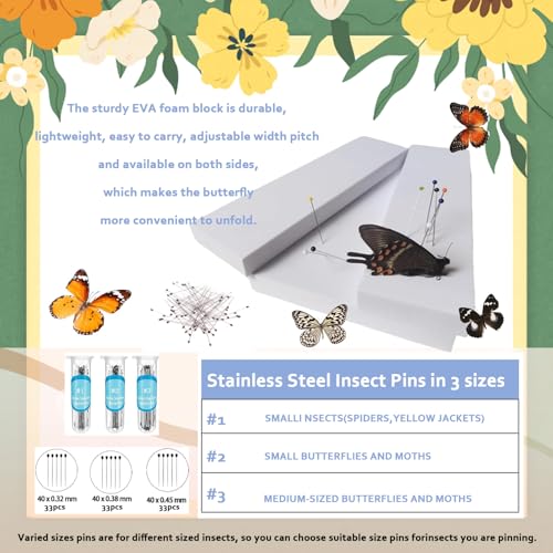 Image of Butterfly Specimen Kit Includes pins, mounting Board, Spreading Tools, Display case, Labels, Forceps, Preserving and showcasing Butterfly specimens. (Black Photo Frame Tool Set)