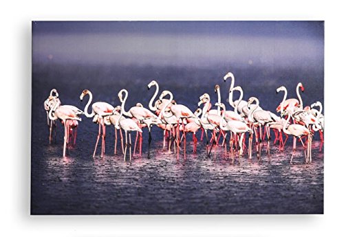 Tableau flamant rose en toile de haute qualité avec cadre moderne M4