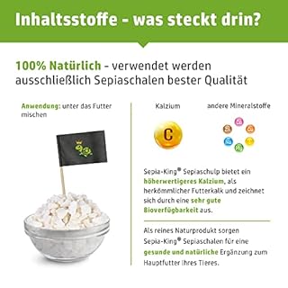 Sepia King - Frattura seppia in qualità premium - Calcio per tartarughe, barbagame, gechi, rettili - Calce per mangime, accessori per terrario calce - Nessun residuo o spreco