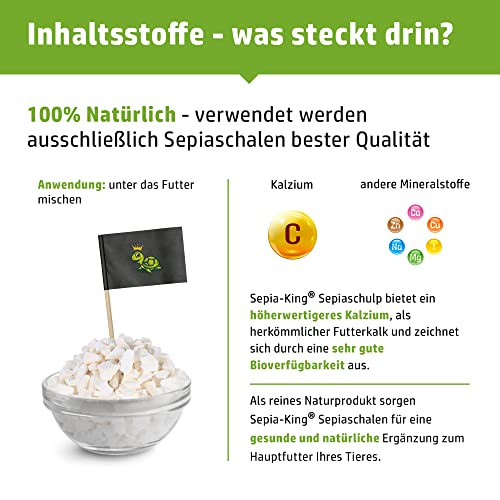 Sepia King - Sepiaschalen Bruch in Premium Qualität - Kalzium für Schildkröten, Bartagame, Geckos, Reptilien - Futterkalk, Kalk Terrarium Zubehör - Keine Reste oder Abfall