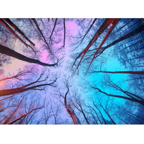 HUADADA Puzzles for Adults 1000 Pieces, Challenging Game Toys, Impossible Puzzle, Family Decoration Puzzle - Winter Forest