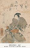 偐紫田舎源氏 二編下 (国立図書館コレクション)